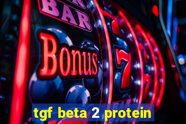 tgf beta 2 protein